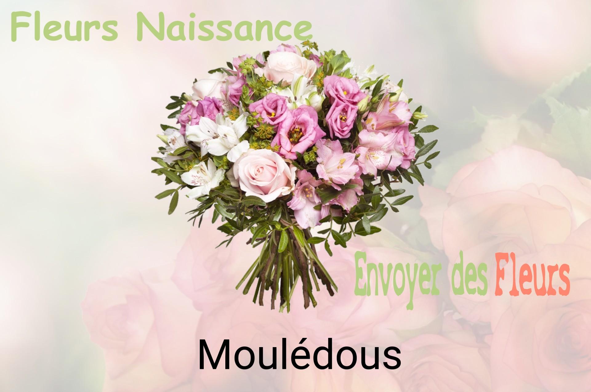 Bouquet de fleurs de naissance livré à Moulédous